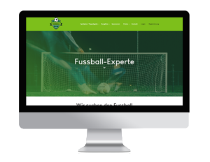 Fussball-Experte
