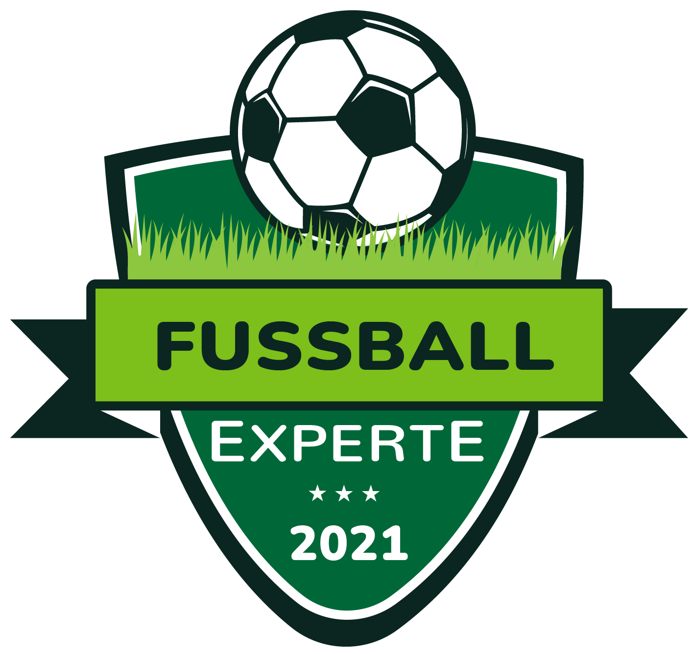 Fussball Experte
